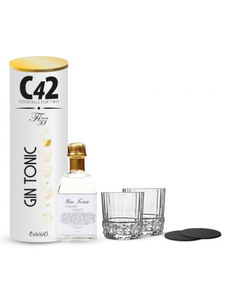 C42 FRIZZ COCKTAILS FOR TWO GIN TONIC